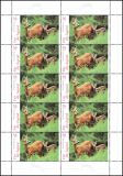 2006  Jugend: Heimische Tiere