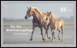 2007  Wohlfahrt: Haustiere