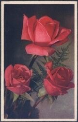 Blumenmotiv - Rosen