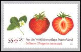 2010  Wohlfahrt: Obst