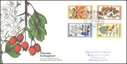 1979  Blätter, Blüten und Früchte des Waldes