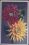 Blumenmotiv - Blumen