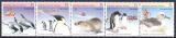 Australische Antarktis 1988  Erhaltung der Umwelt