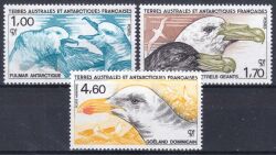 Franz. Antarktis 1986  Vögel