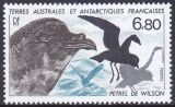 Franz. Antarktis 1988  Tiere der Antarktis