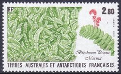 Franz. Antarktis 1989  Pflanzen der Antarktis