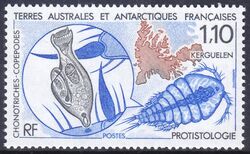 Franz. Antarktis 1990  Mikroskopische Tiere