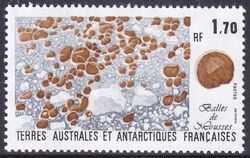 Franz. Antarktis 1991  Pflanzen der Antarktis