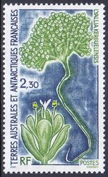 Franz. Antarktis 1993  Pflanzen der Antarktis
