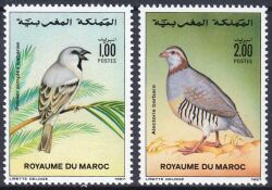 Marokko 1987  Vögel