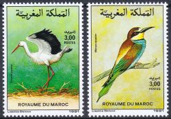 Marokko 1991  Vögel