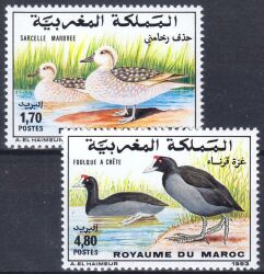 Marokko 1993  Vögel