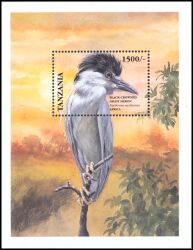 Tansania 1999  Vögel aus aller Welt