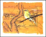 Tansania 1999  Japanische Vogelfauna
