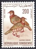 Tunesien 1966  Vögel: Klippenhühner