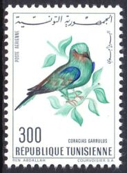 Tunesien 1966  Vögel: Blauracke