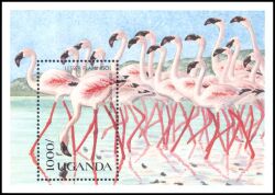 Uganda 1990  Einheimische Vögel