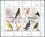 Korea-Nord 1992  Ornithologe Dr. Won Hong Gu: Vögel