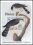 Bhutan 1985  200.Geburtstag von John James Audubon
