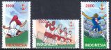 Indonesien 2002  Fußball-Weltmeisterschaft