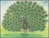 Laos 2000  Pfau