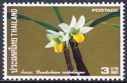 Thailand 1974  Orchideen