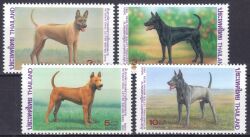 Thailand 1993  Intern. Briefwoche: Thailändischer Ridgeback