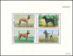 Thailand 1993  Intern. Briefwoche: Thailändischer Ridgeback