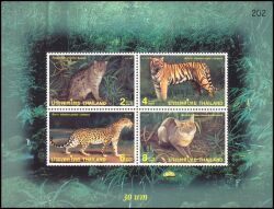 Thailand 1998  Wildtiere: Klein- und Großkatzen