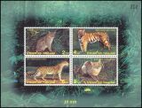 Thailand 1998  Wildtiere: Klein- und Großkatzen