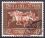1937  Galopprennen "Das Braune Band von Deutschland"