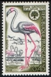 1970  Europäisches Naturschutzjahr