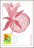 1970  Blumen a. Liechtenstein - Europäisches...