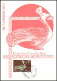 1971  Neueröffnung des Landesmuseums