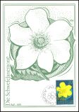 1972  Blumen aus Liechtenstein