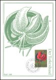 1972  Blumen aus Liechtenstein