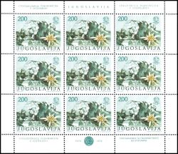 1974  100 Jahre Bergsteigerverein