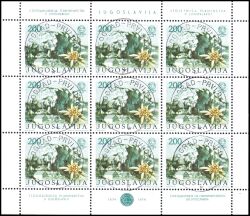 1974  100 Jahre Bergsteigerverein