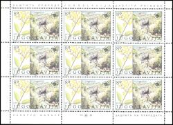 1981  Europäischer Naturschutz
