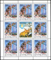 1988  Internationales Damen-Skirennen um den goldenen Fuchs