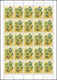 1973  Heilpflanzen