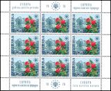 1970  Europäisches Naturschutzjahr