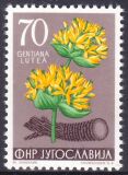1955  Jugoslawische Flora: Gelber Enzian