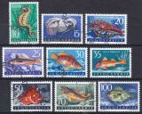 1956  Jugoslawische Fauna: Tiere der Adria