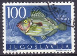 1956  Jugoslawische Fauna: Tiere der Adria