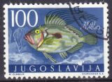 1956  Jugoslawische Fauna: Tiere der Adria