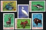 1980  Europäisches Naturschutzjahr