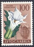 1959  Jugoslawische Flora: Gemeiner Stechapfel