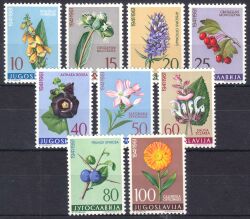 1961  Jugoslawische Flora