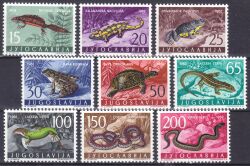 1962  Jugoslawische Fauna: Amphibien und Reptilien